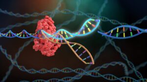 DNA & Cas9 Protein - Image