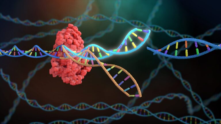 DNA & Cas9 Protein - Image
